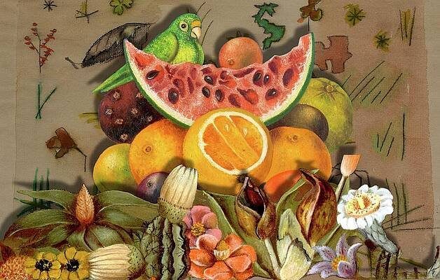 Frida's Nature