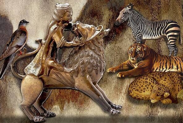 To Tame is To Rape