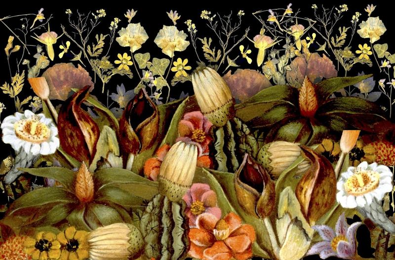 Frida's Flowers