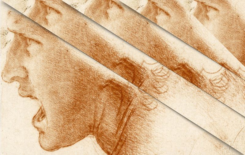 Leonardo's eye